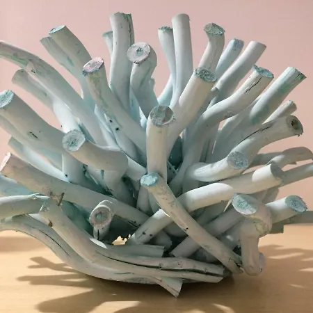 Guest house Pelu Il Marinaio Palermo