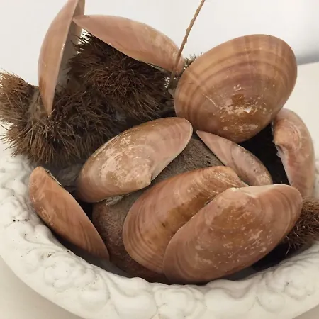 Pelu Il Marinaio 3* Palermo